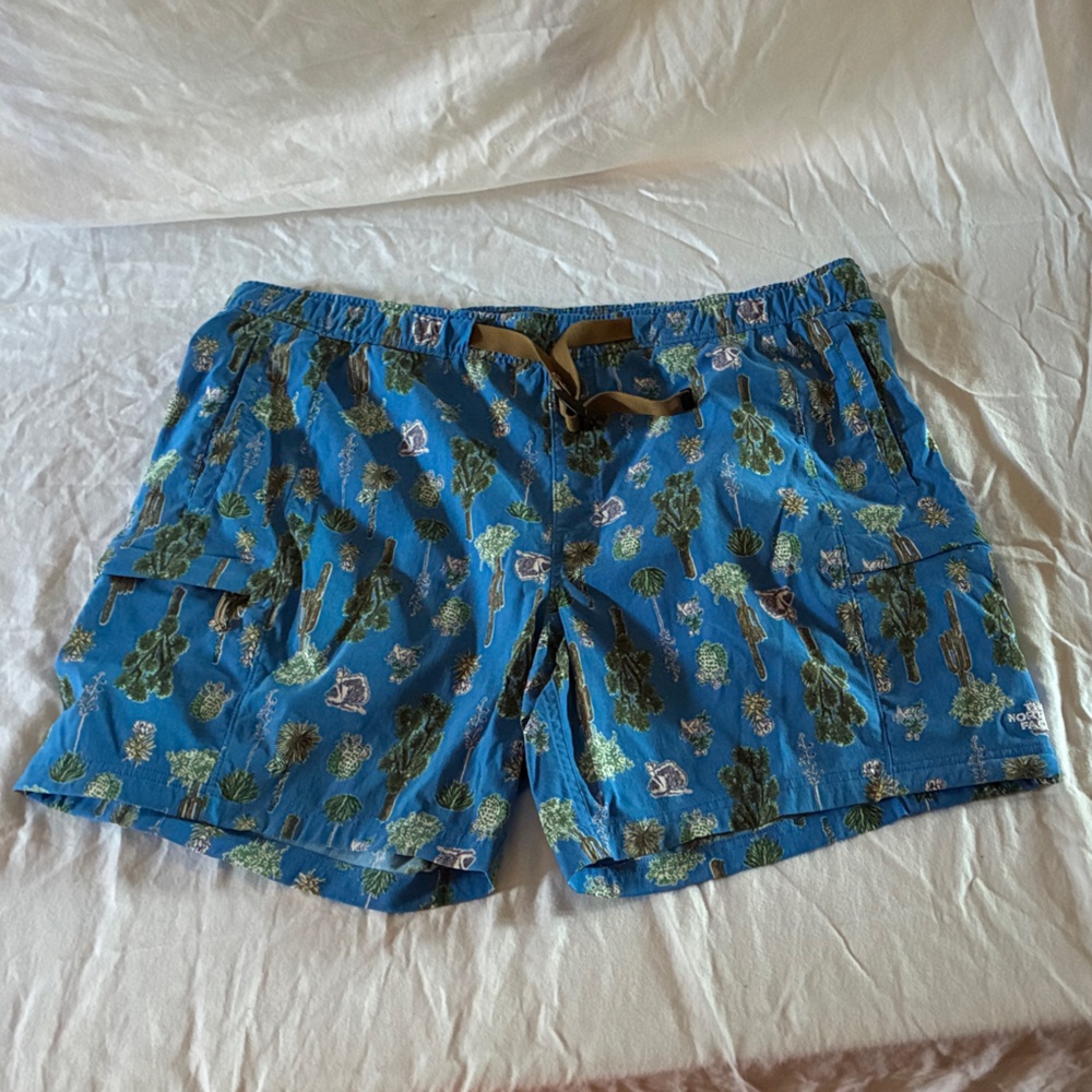 The North Face Blue Cactus Print Athletic Shorts